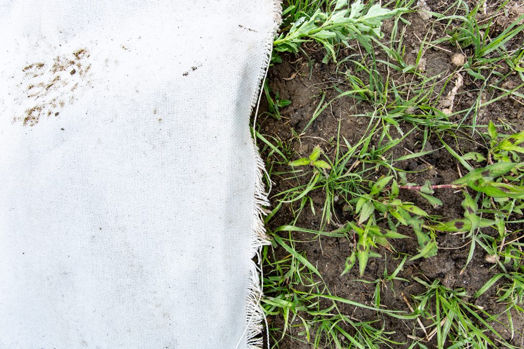 Biologisch afbreekbaar geotextiel